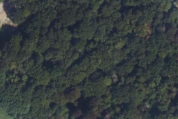 bois des lieux (cergy le haut)