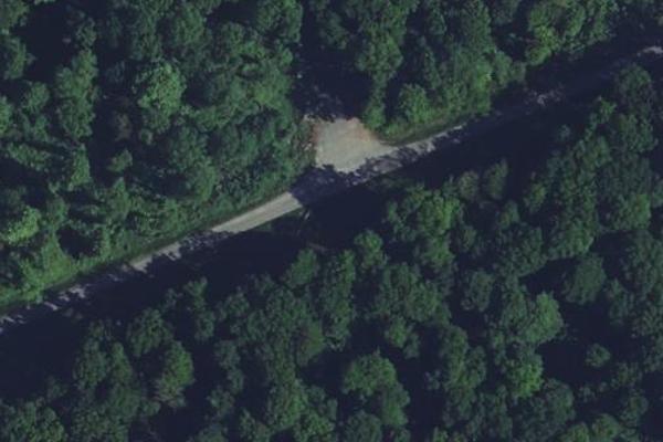 Chemin planté