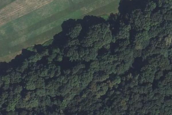 La Frange Verte