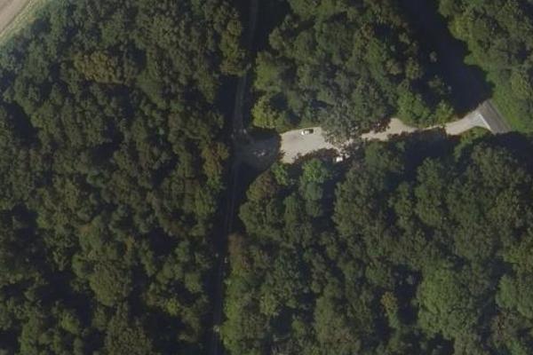 Forêt du Mans entre Monceau les Meaux et Pierrelevee