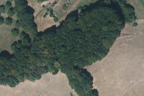 Forêt antenne, coin nature à Aurillac