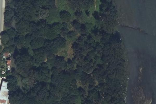 Île de Pecette, coin nature