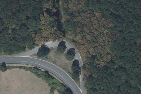Forêt de Meillant