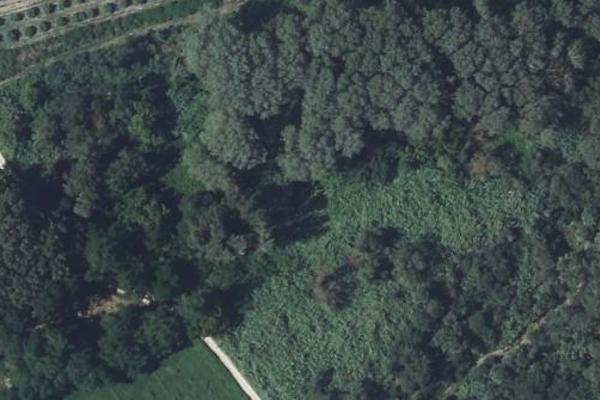 Voie verte de Montfrin