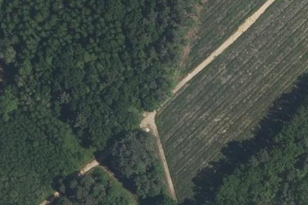 Bois de Lesparre