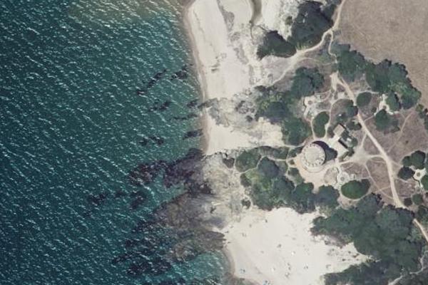 Plage de Capitello, plage