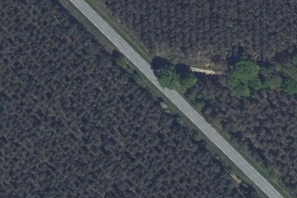 Bois de la route D655