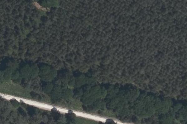 Foret de Méhers et Saint-Romain