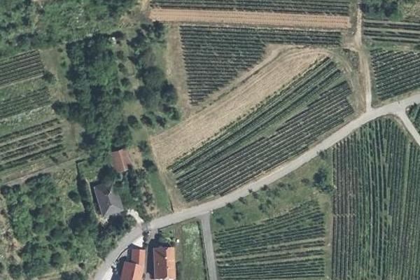 Vignes de Rosenwiller