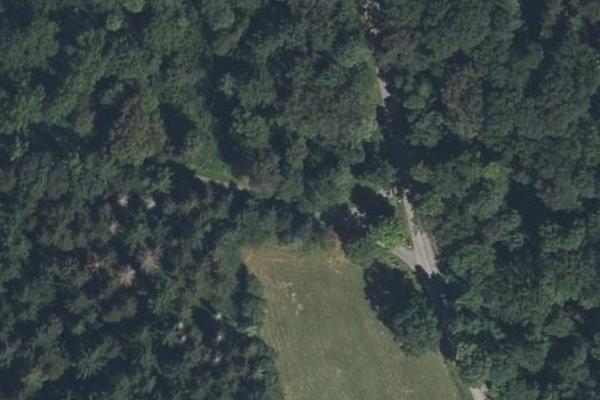 En forêt D204