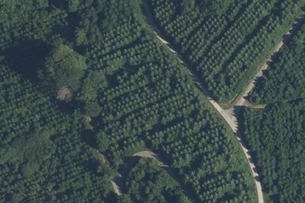 Forêt de Chabrière, coin nature à Guéret