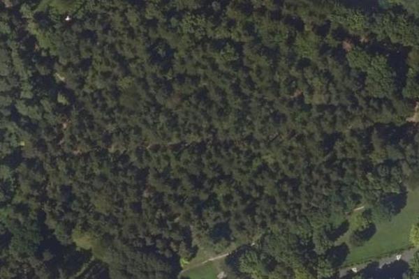 Parc de Louche, jardin / parc à Annet-sur-Marne