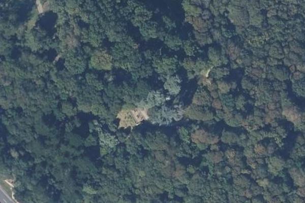 Ancien camping de la Briantais, coin nature