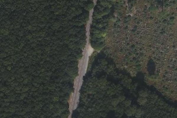 Forêt Chauvry