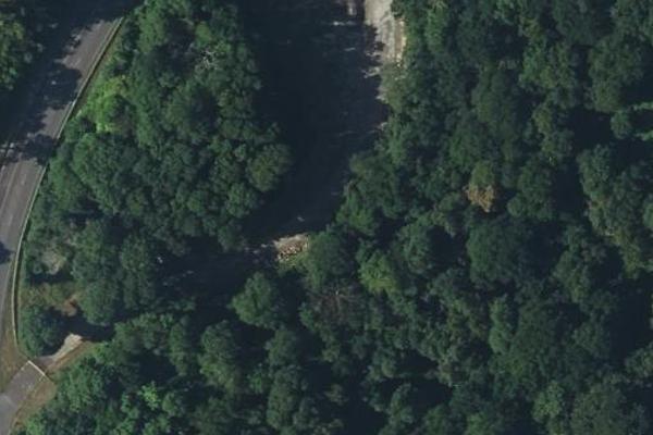 Forêt de Vernon