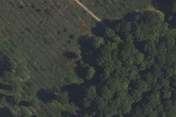 Forêt de Dreux