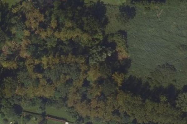 Forêt de Oissery, jardin / parc à Oissery