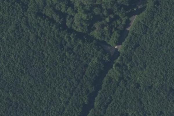 Forêt de Moulière