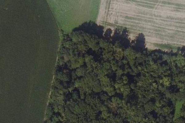 coins traquille dans la forêt d'Esbly au milieu de ruines