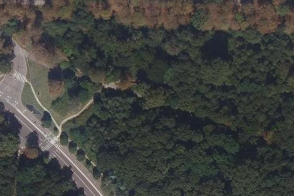 Route du Grand Maréchal, coin nature à Paris