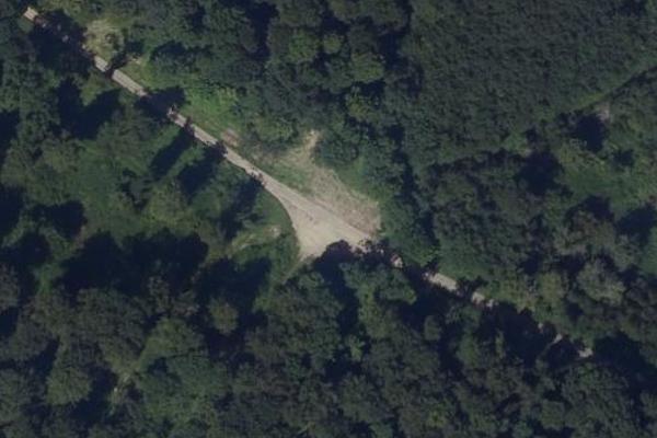 bois de Villers Cotterets