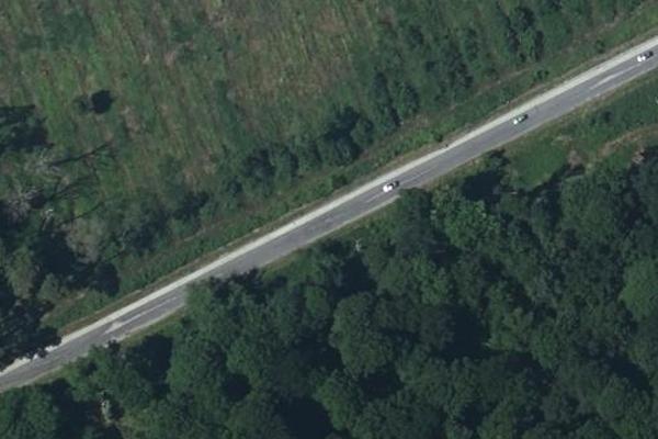 Forêt de la Londe-Rouvray