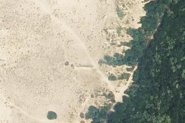 Plage de Labenne