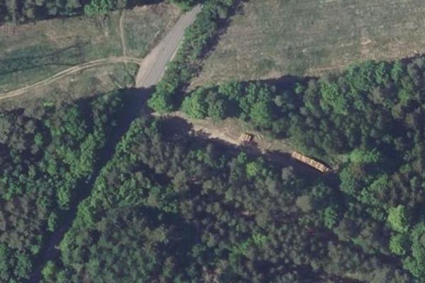 Forêt de Jeanne d'Arc