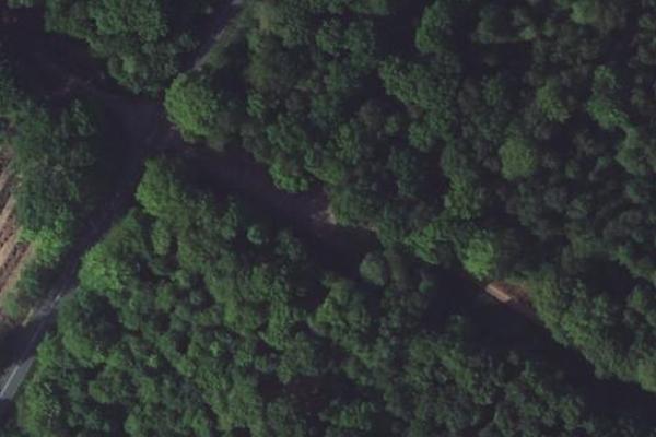 Forêt de Raismes