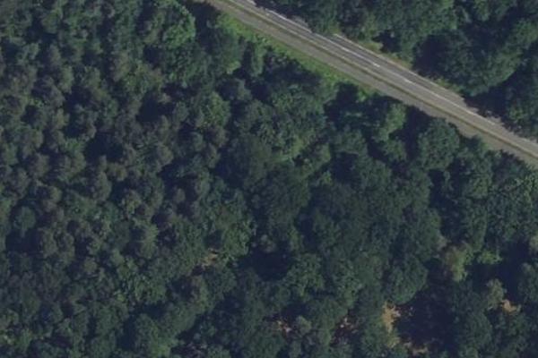 Forêt de Hez
