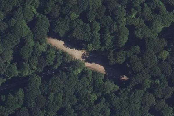 Forêt du parc de St Quentin