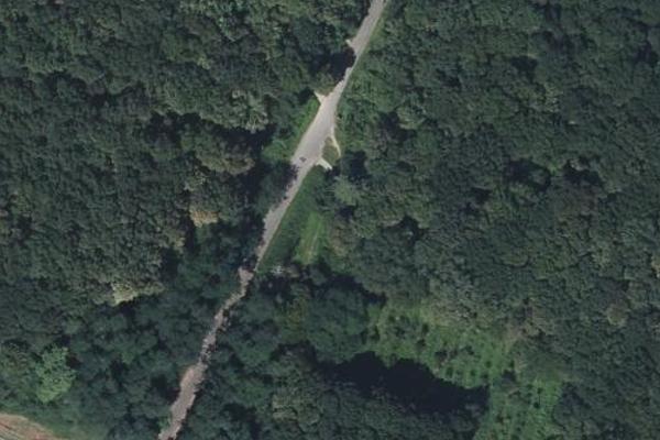Forêt de Bastard, coin nature à Pau