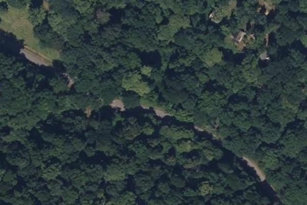 Forêt de Subercarrere, coin nature