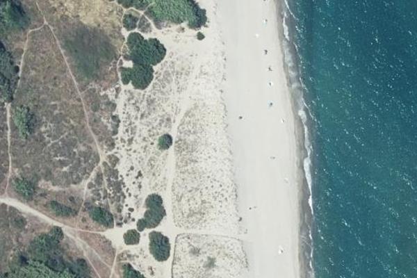 Plage du Bocal du Tech, plage