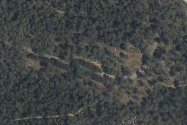 Bois de La Valmasque