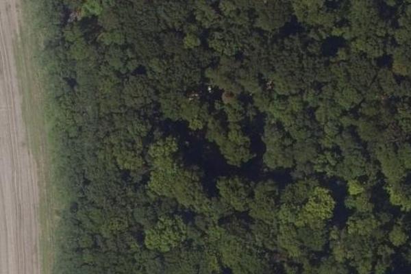 Forêt de Montgé