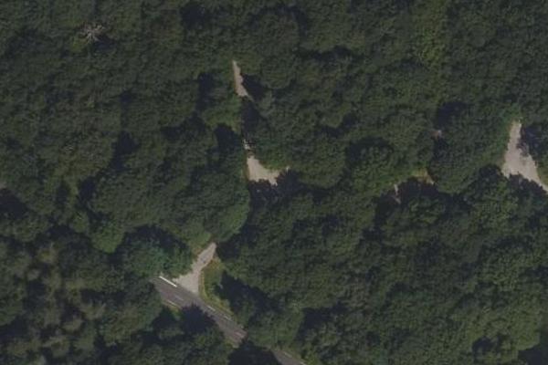 Forêt de Rougeau