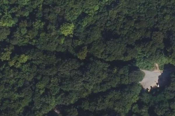 Les Terrasses en forêt