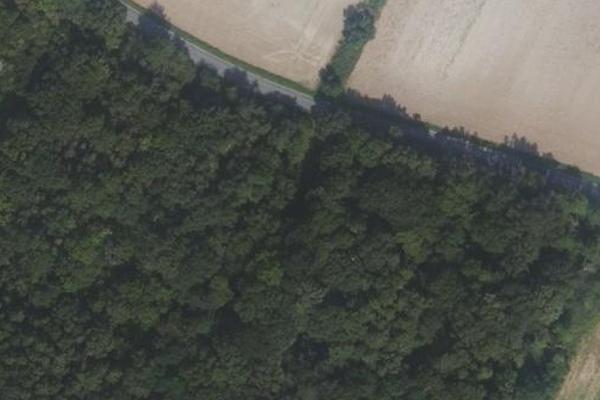 Bois des Gaillardes