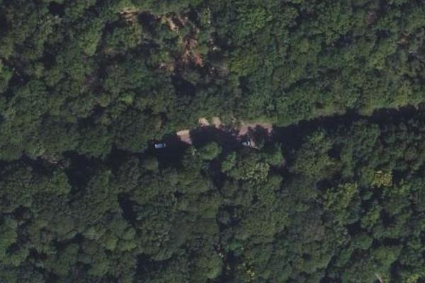 Forêt de Fausses Reposes