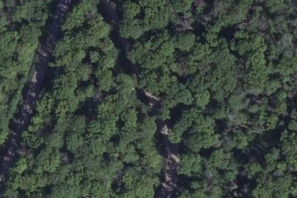 Bois de l'Arclais, coin nature à Vendeuvre-sur-Barse