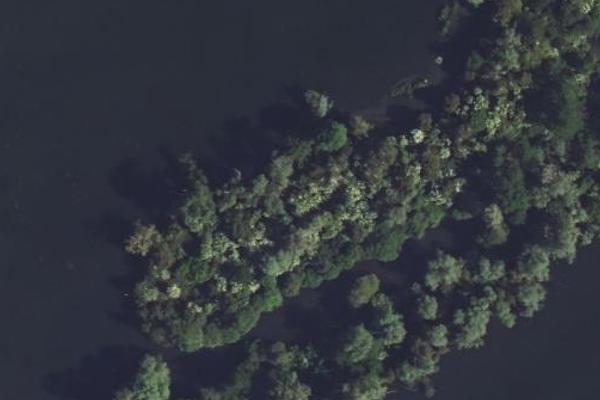 etang